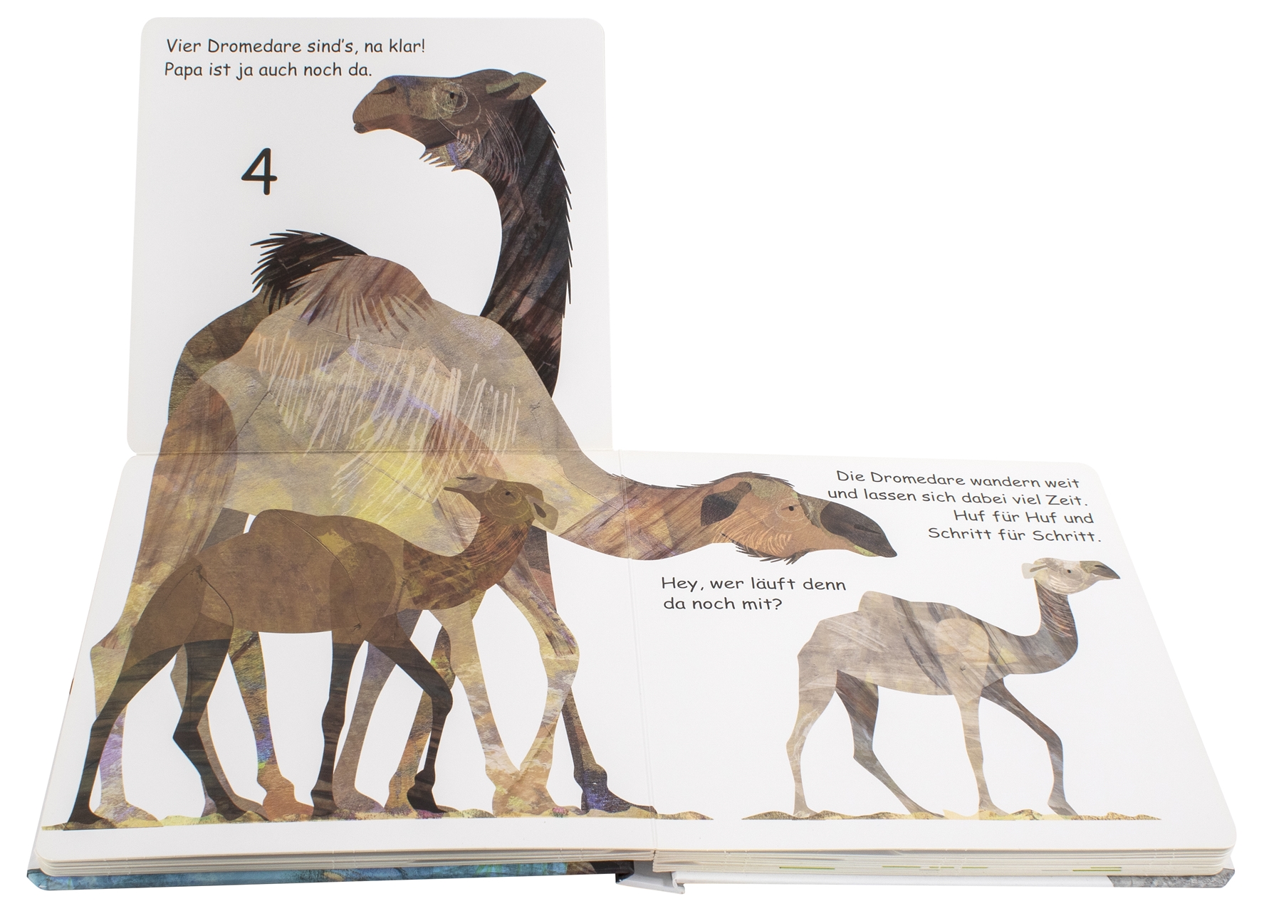 9783831039449_innenansicht_03 9783831039449_innenansicht_03.jpg