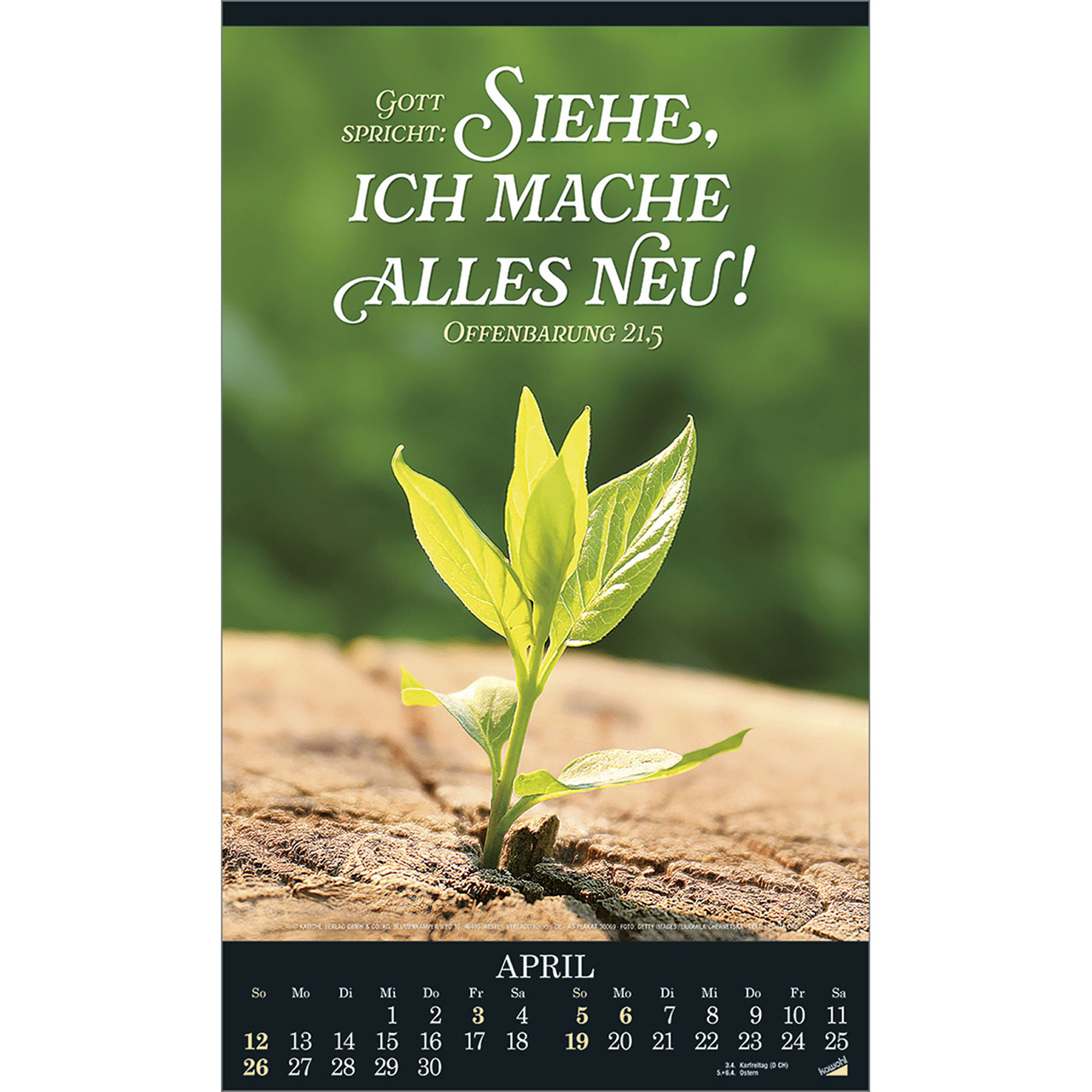 9783754830062_innenansicht_04.jpg
