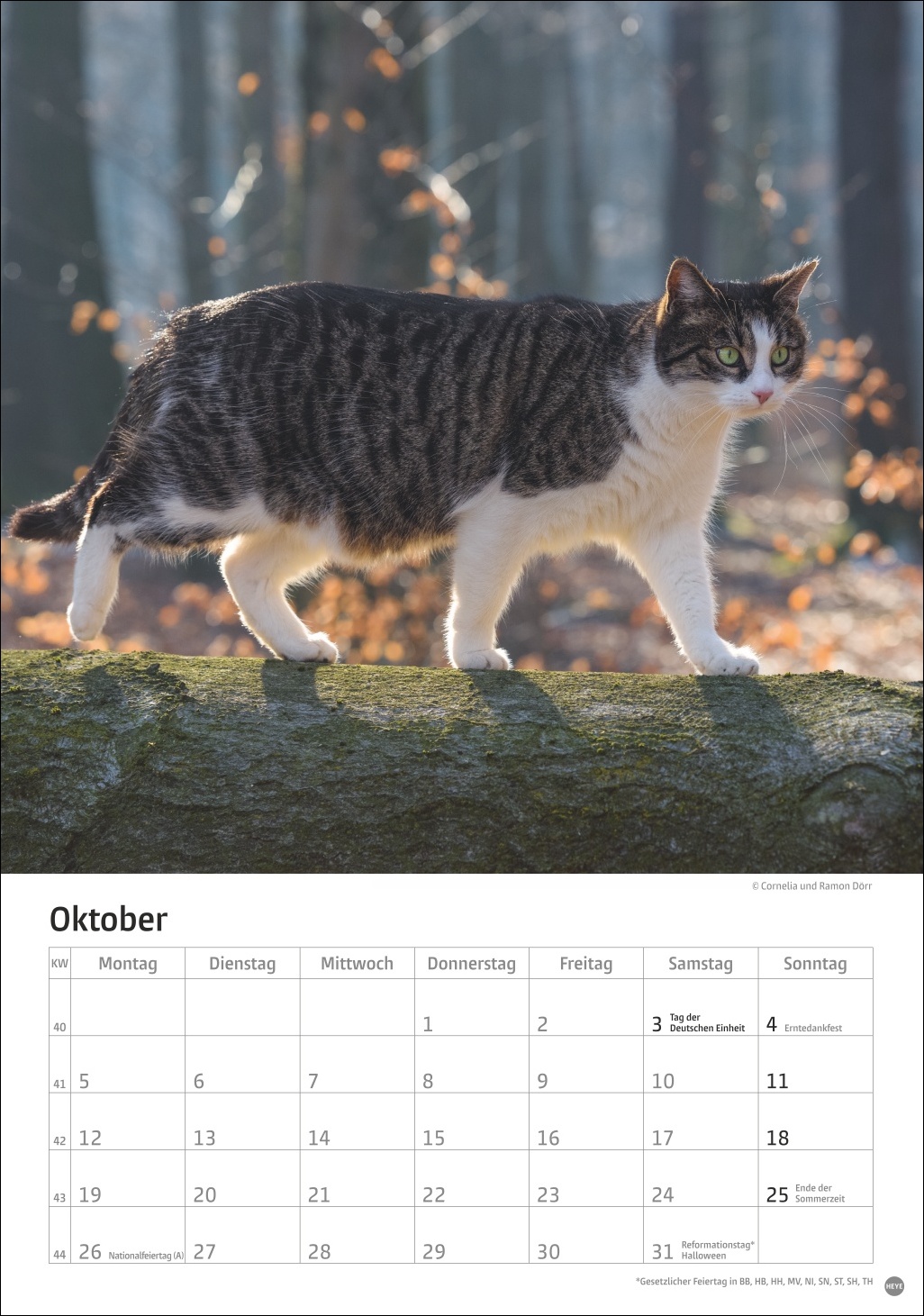 9783756411139_innenansicht_10 9783756411139_innenansicht_10.jpg