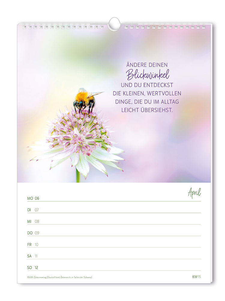 9783986361846_innenansicht_04 9783986361846_innenansicht_04.png