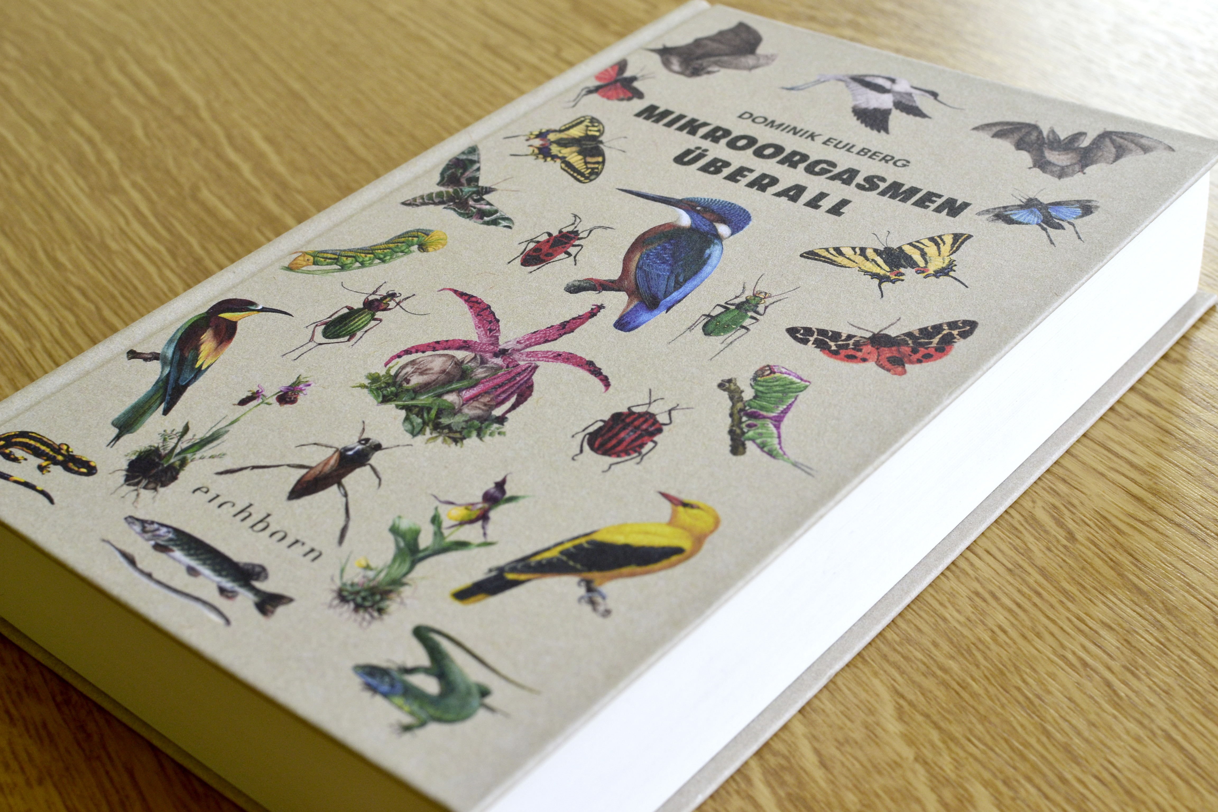 9783847900658_innenansicht_02.jpg 9783847900658_innenansicht_02.jpg