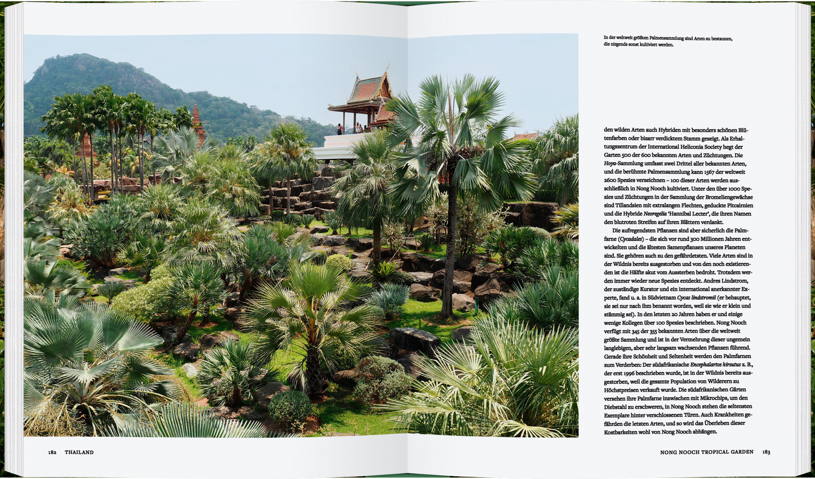 9783836922043_innenansicht_02 9783836922043_innenansicht_02.jpg