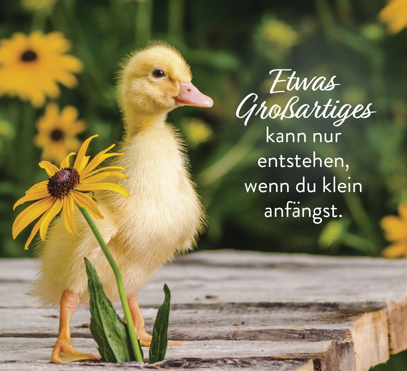 9783848502974_innenansicht_01.png