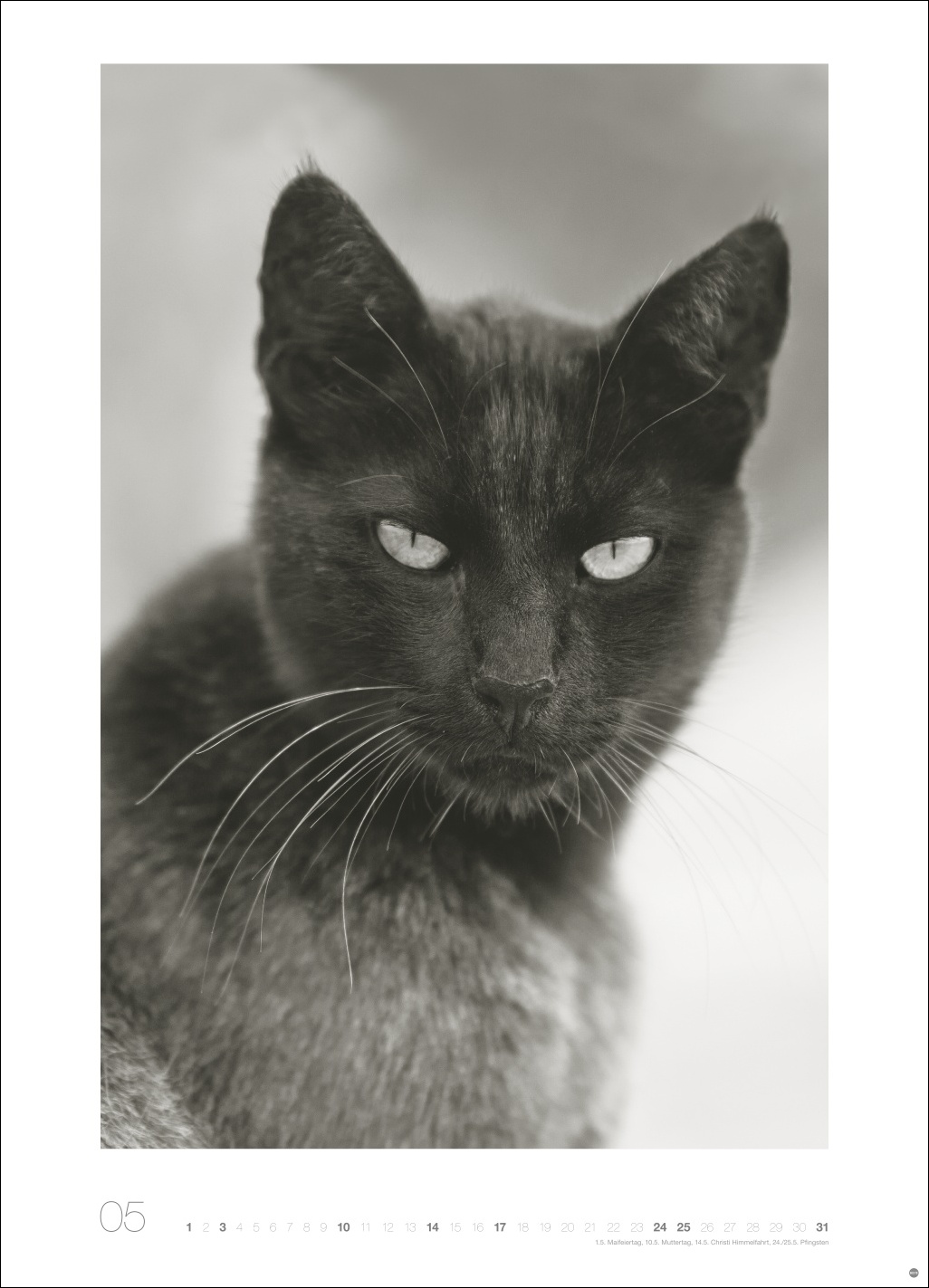 9783756411313_innenansicht_05 9783756411313_innenansicht_05.jpg