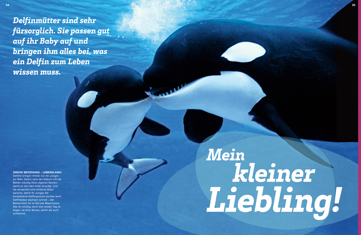 9783788681814_innenansicht_03.jpg