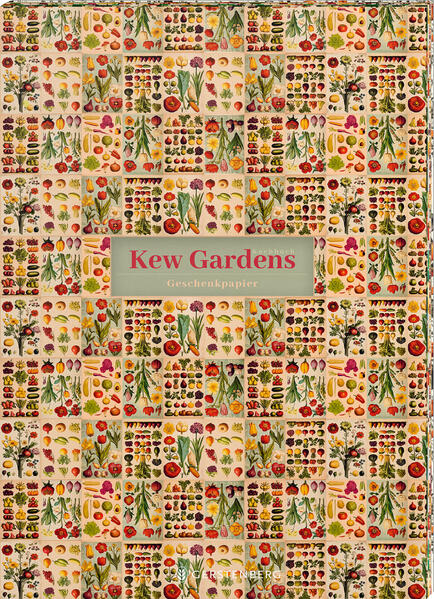 4250915937076 4250915937076