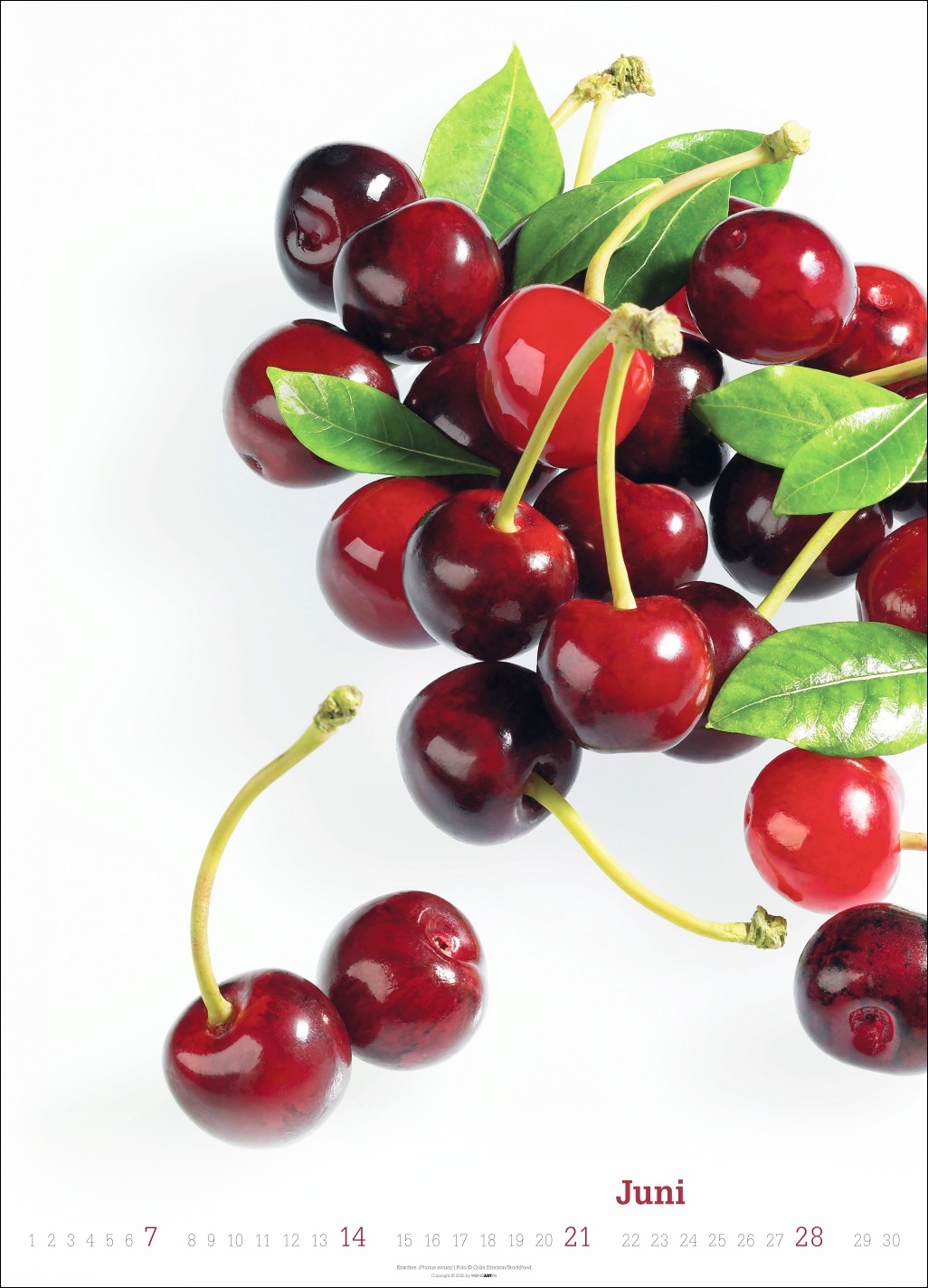 9783839902271_innenansicht_06 9783839902271_innenansicht_06.jpg