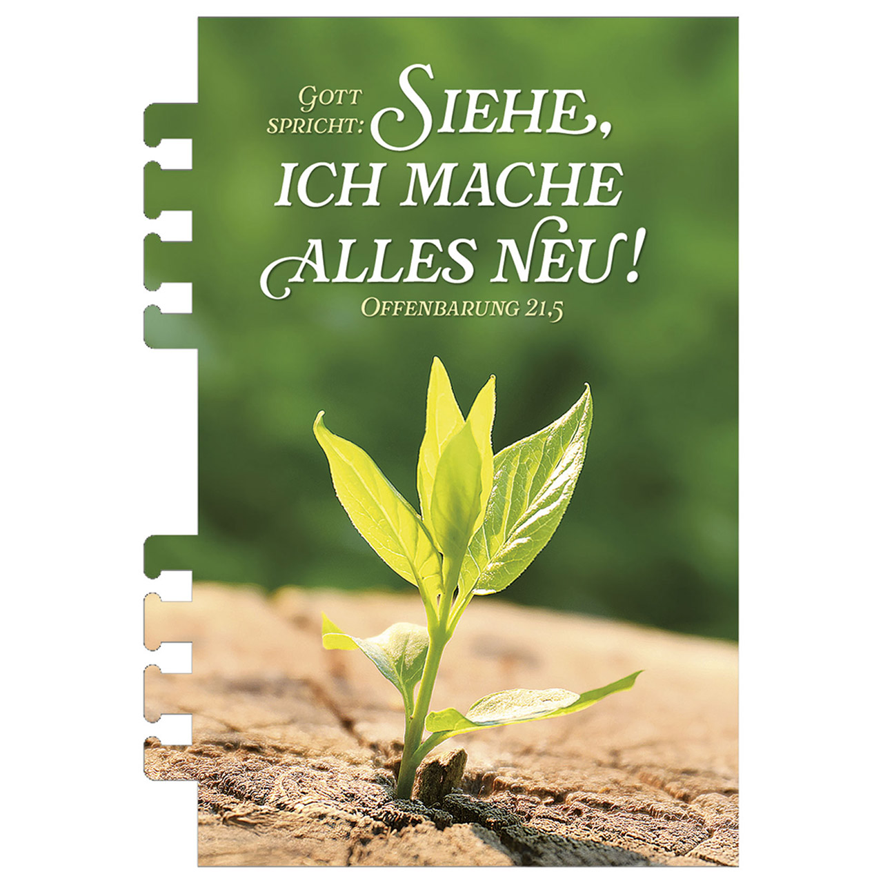 9783754869369_innenansicht_12 9783754869369_innenansicht_12.jpg