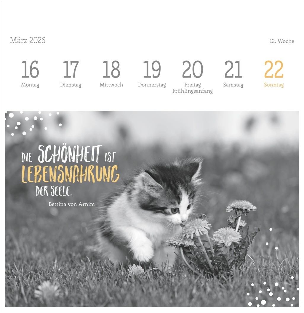 9783756411955_innenansicht_12.jpg