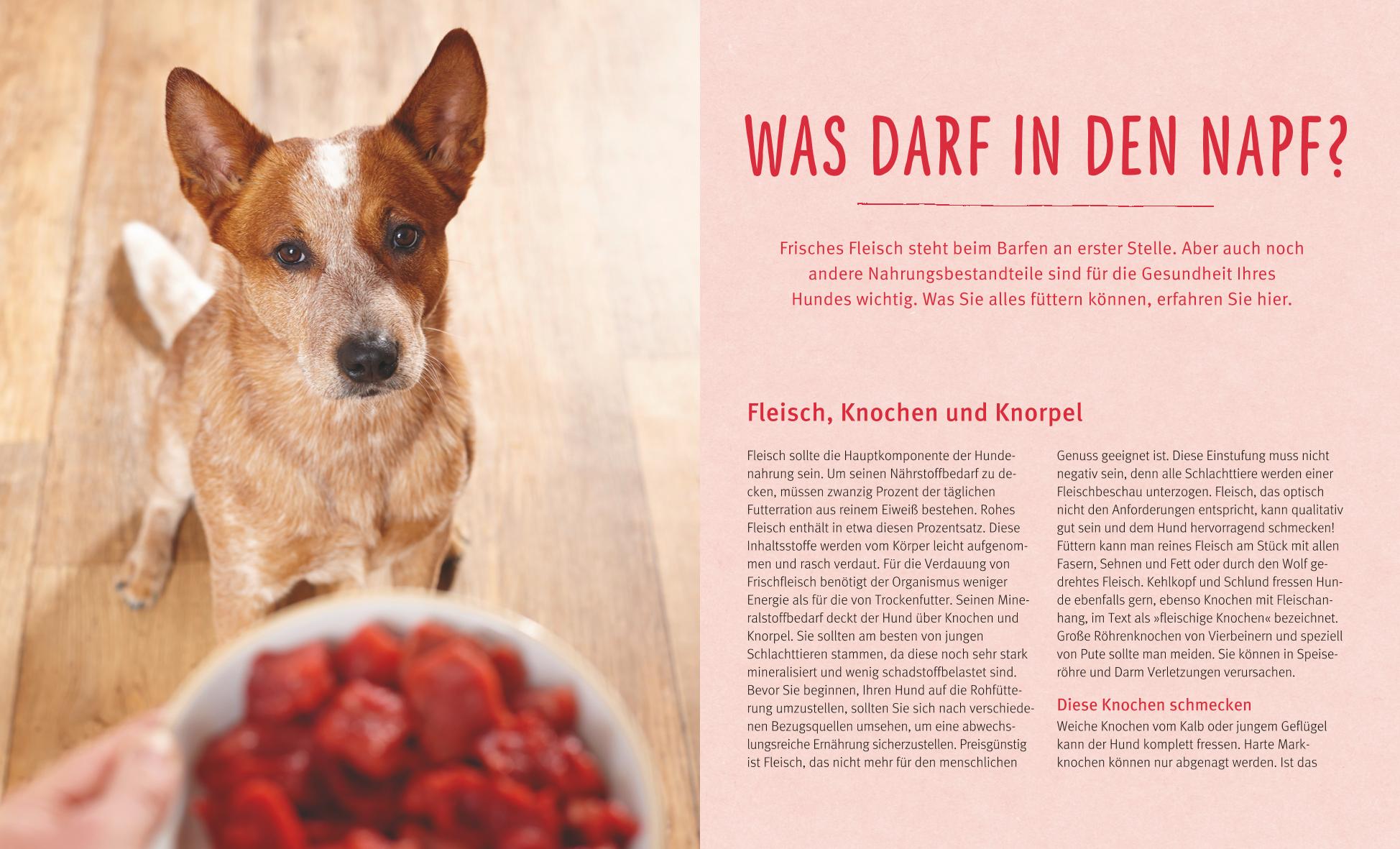 9783833836367_innenansicht_02.jpg