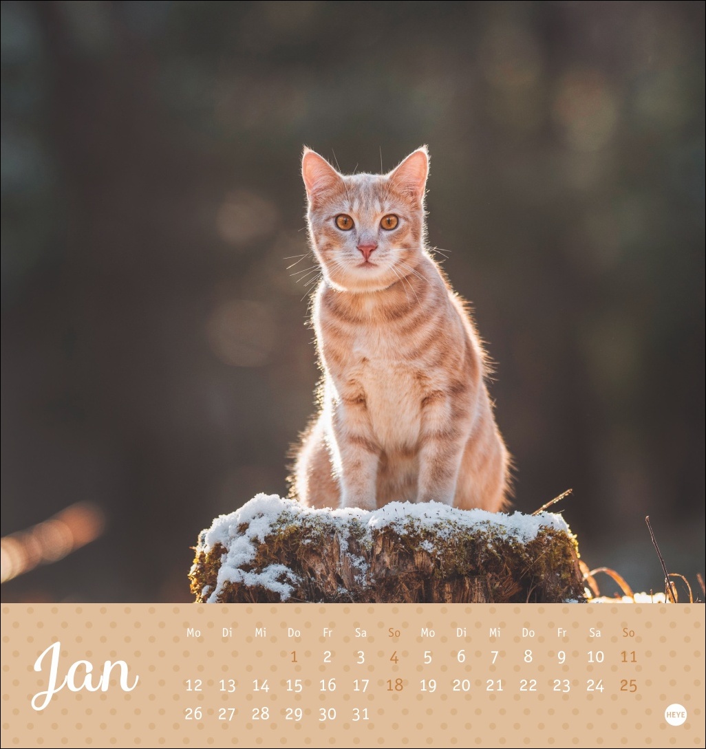 9783756410460_innenansicht_01 9783756410460_innenansicht_01.jpg