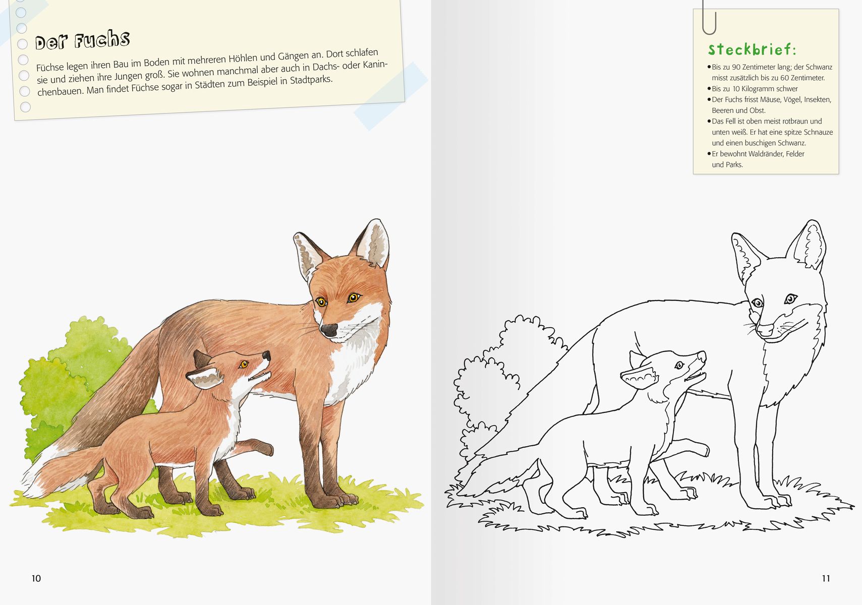 9783473489473_innenansicht_02 9783473489473_innenansicht_02.jpg