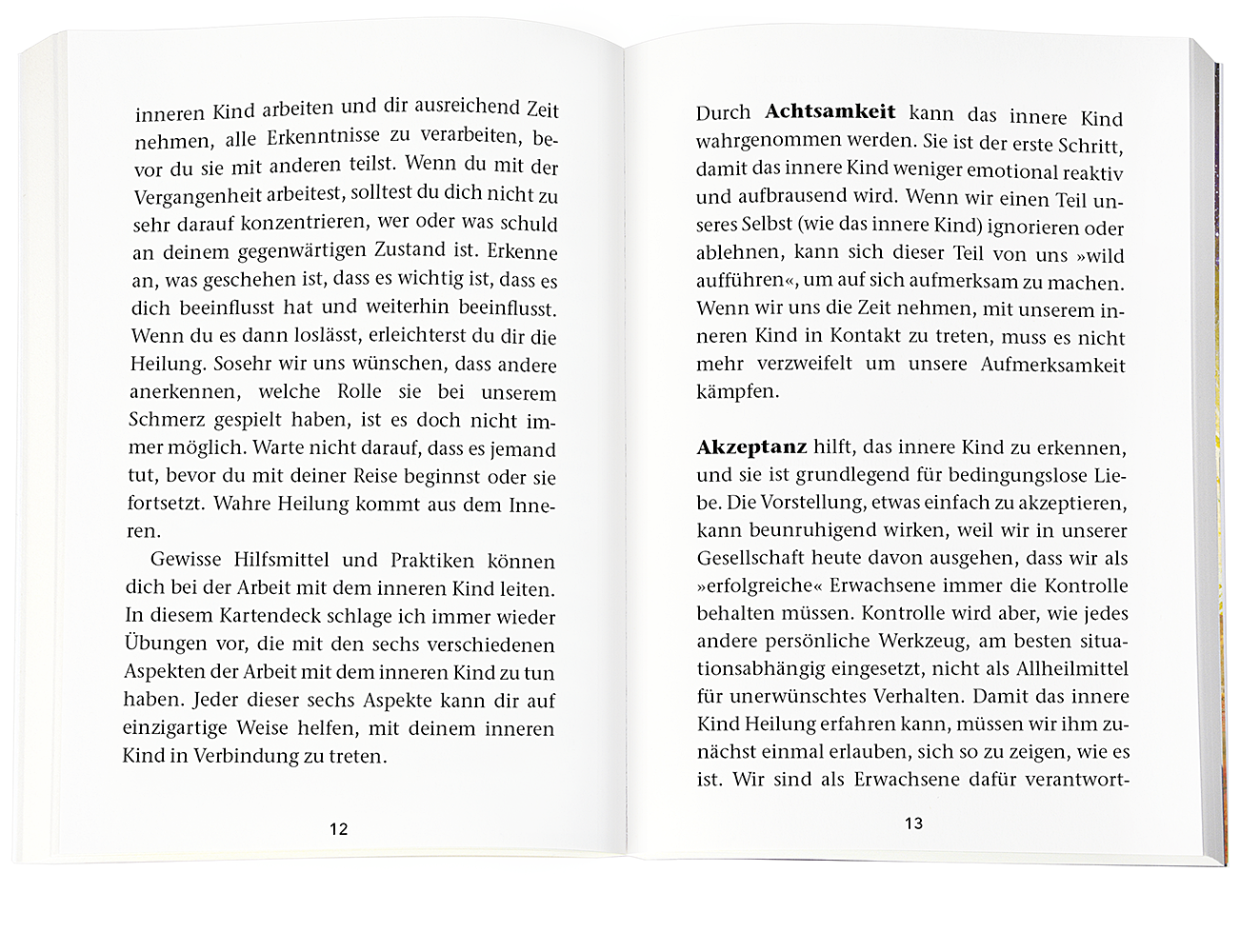 9783426293539_innenansicht_07.png