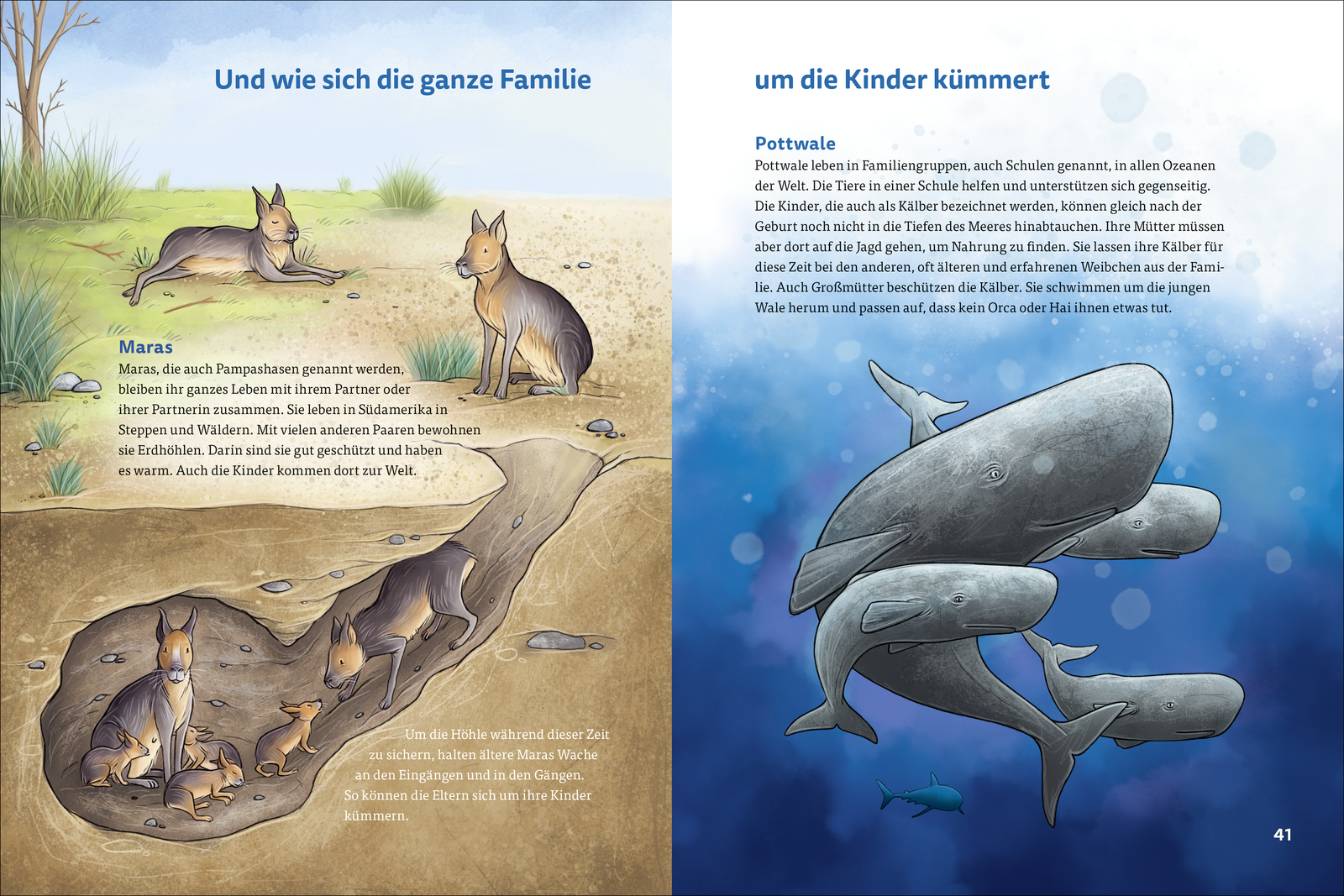 9783757101916_innenansicht_03.png
