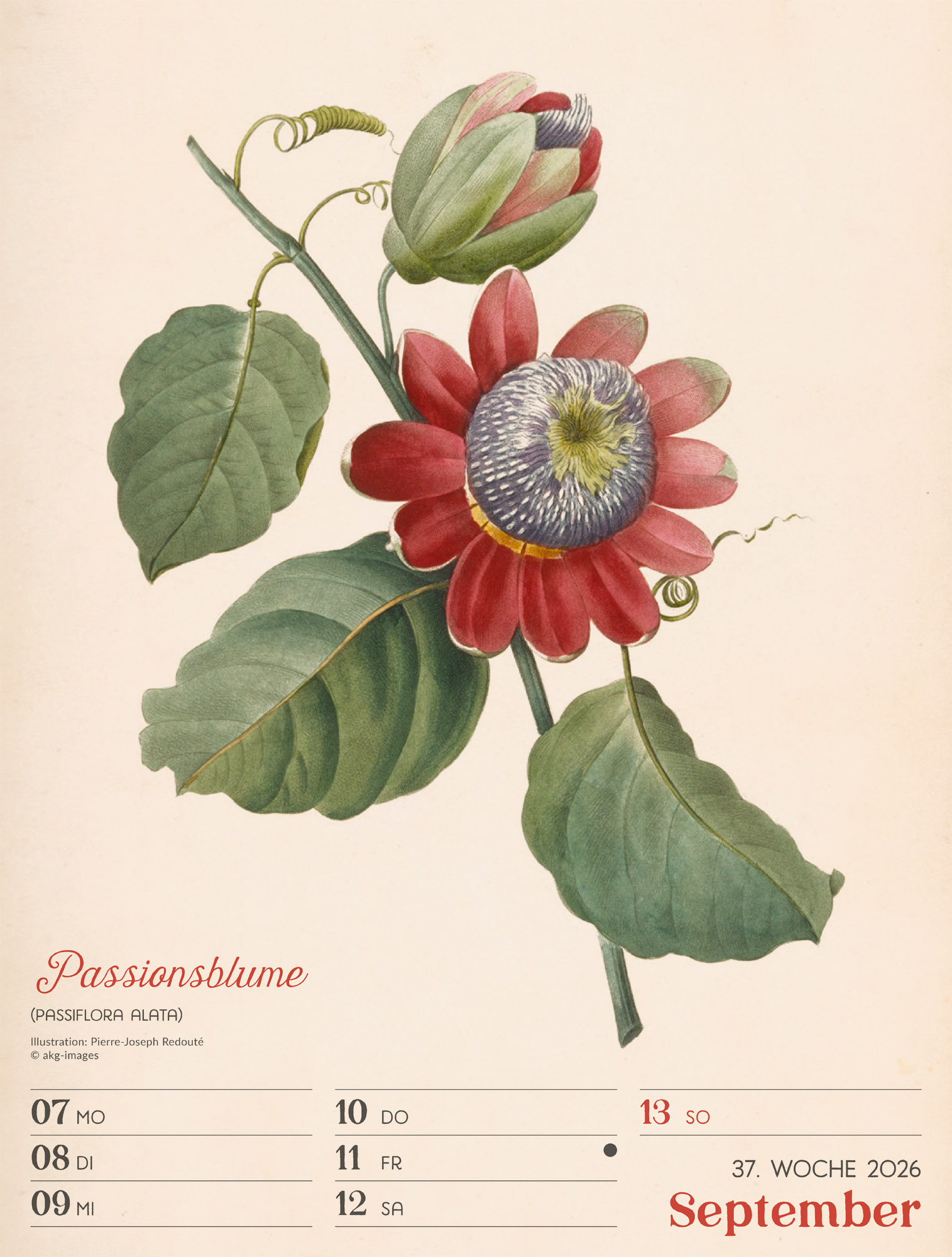 9783838436128_innenansicht_40.jpg