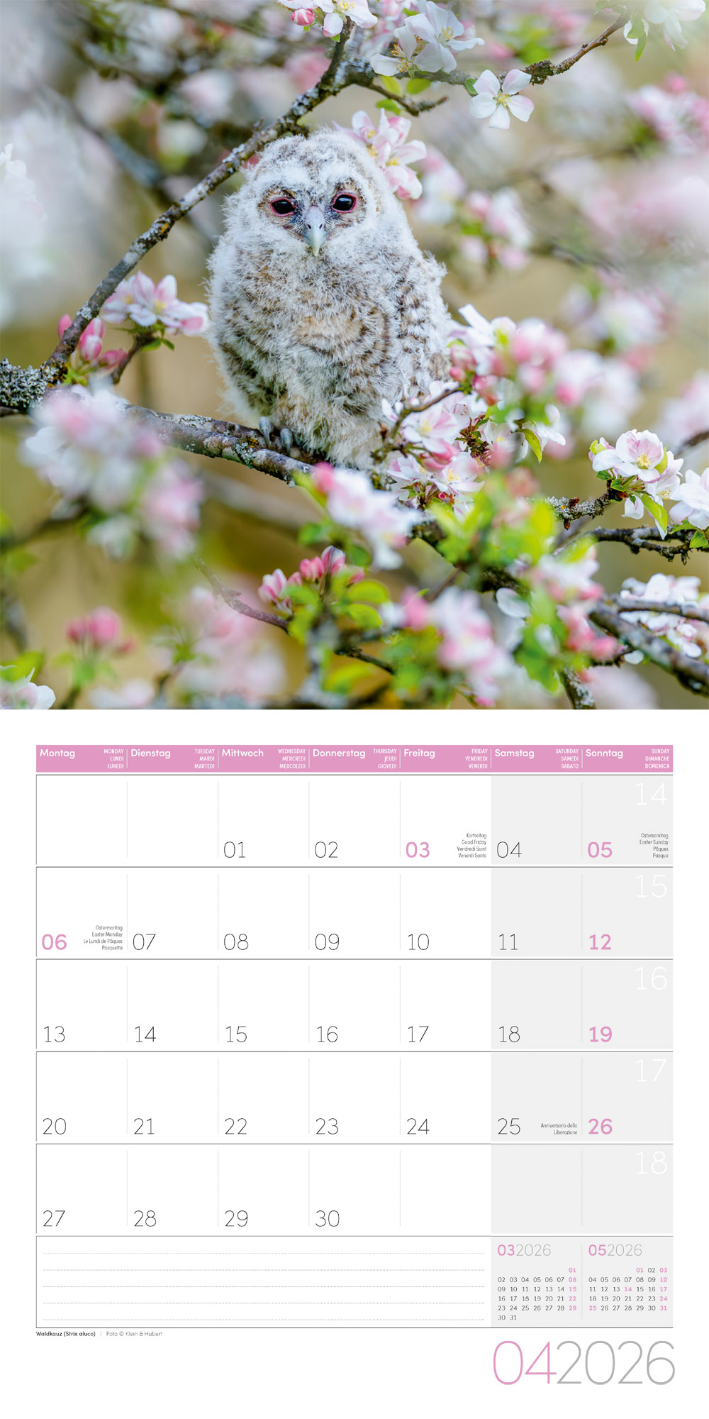 9783838446240_innenansicht_04 9783838446240_innenansicht_04.jpg