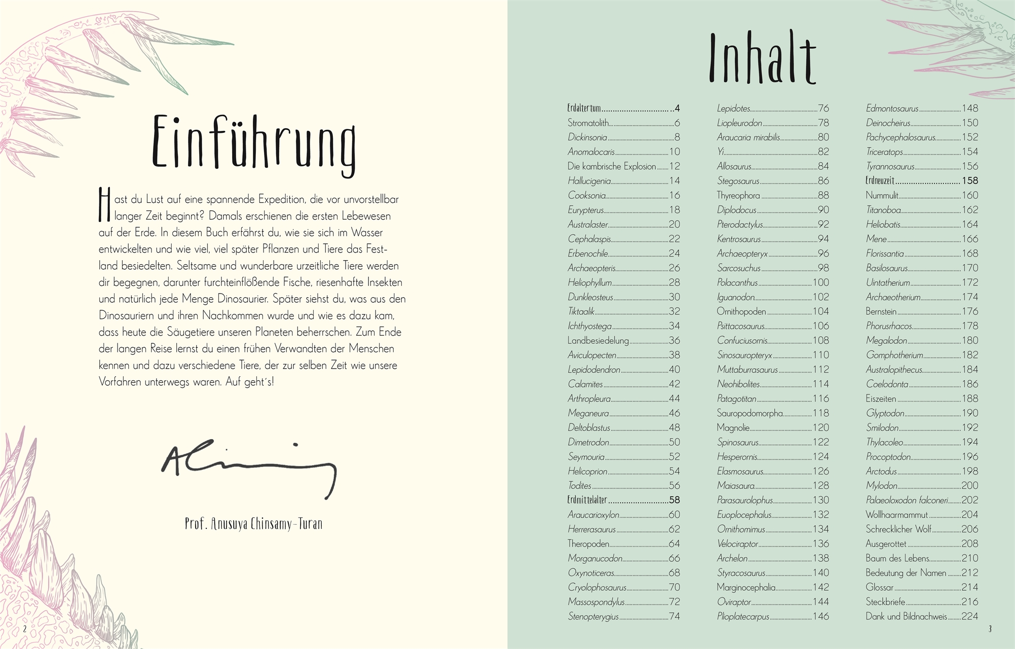 9783831045037_innenansicht_01.jpg