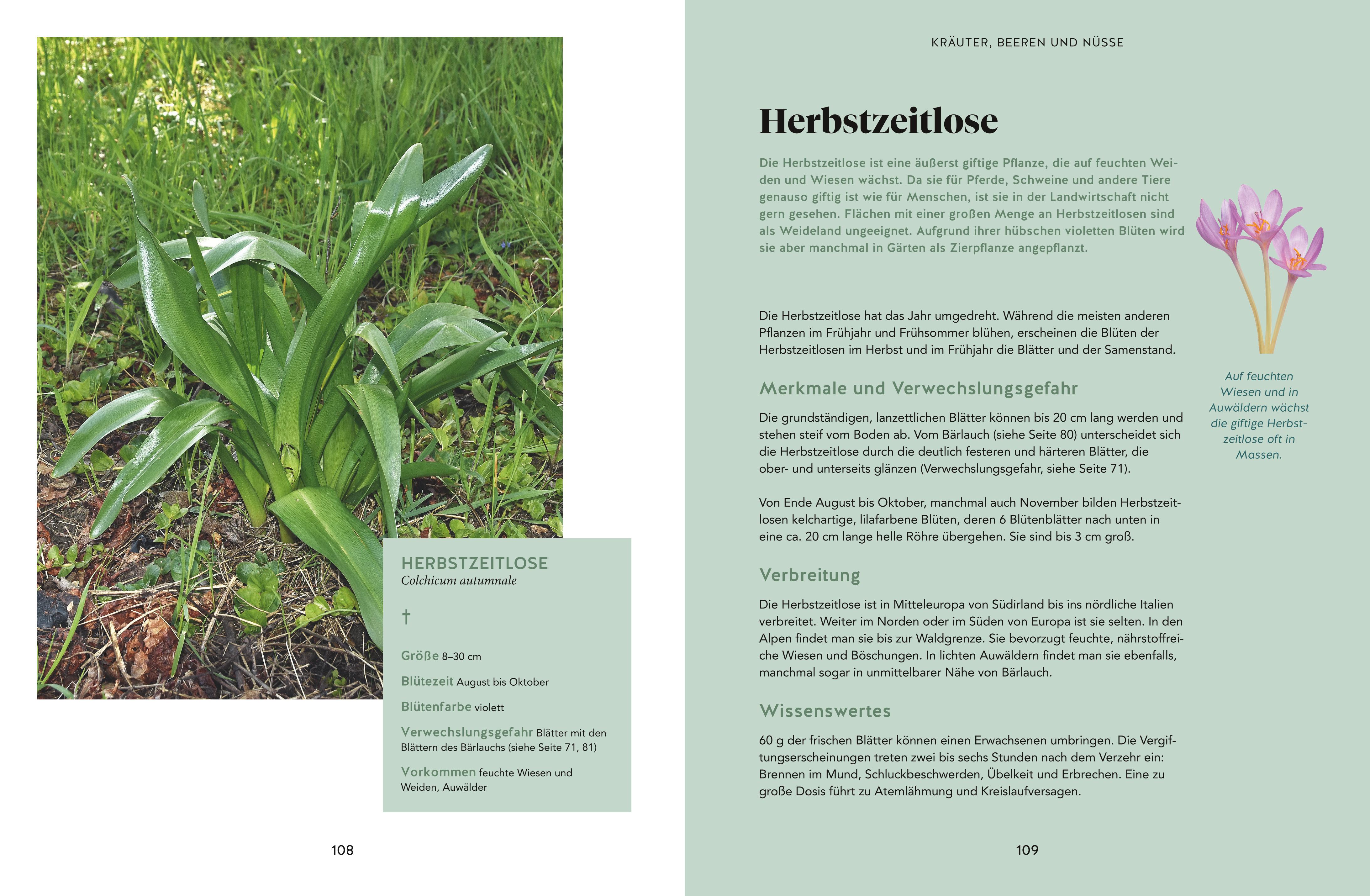 9783833889844_innenansicht_05 9783833889844_innenansicht_05.jpg