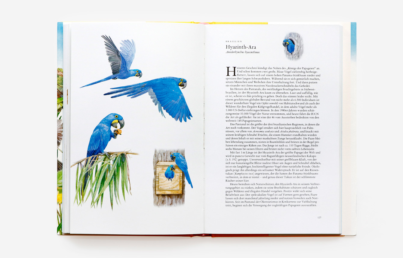 9783962442330_innenansicht_06 9783962442330_innenansicht_06.jpg