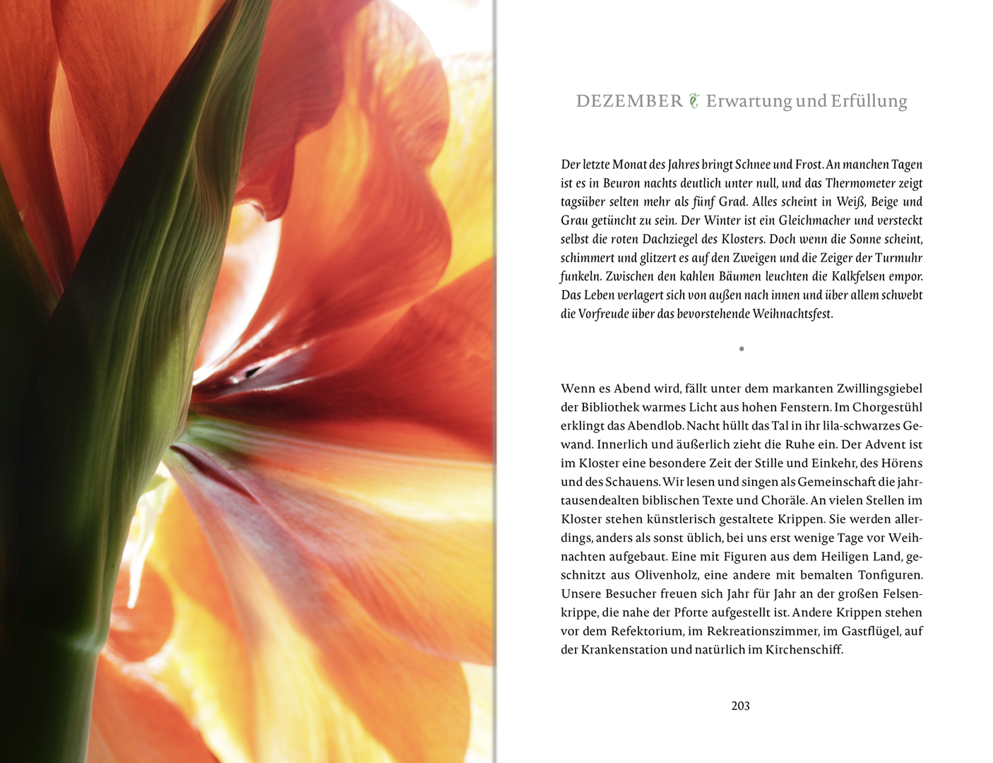 9783963402081_innenansicht_11 9783963402081_innenansicht_11.png