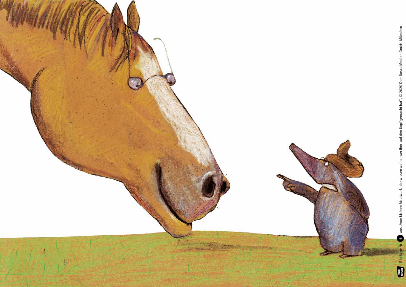 4260179516535_innenansicht_02 4260179516535_innenansicht_02.jpg