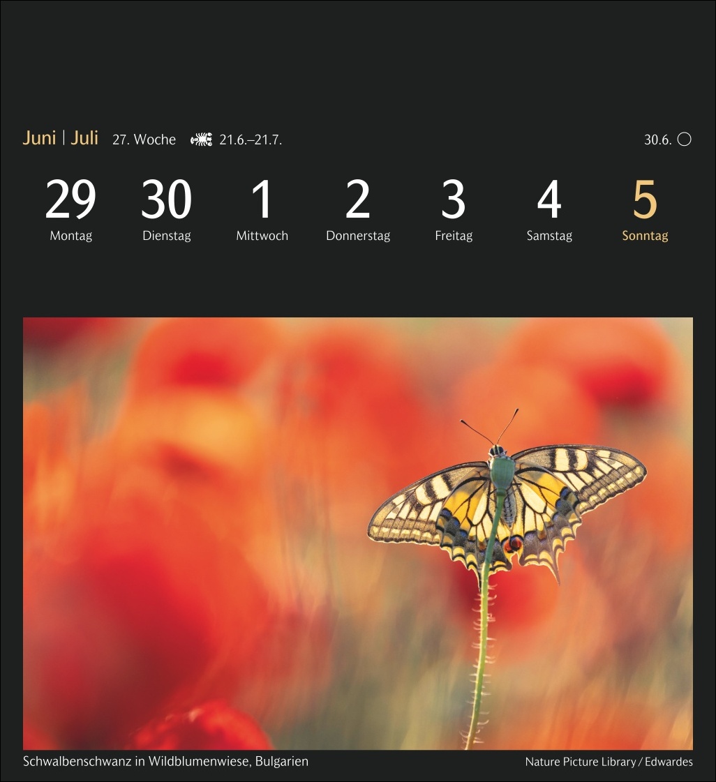 9783840036767_innenansicht_08 9783840036767_innenansicht_08.jpg