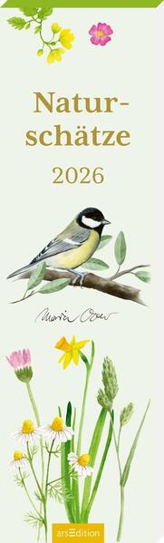 4014489136088 4014489136088