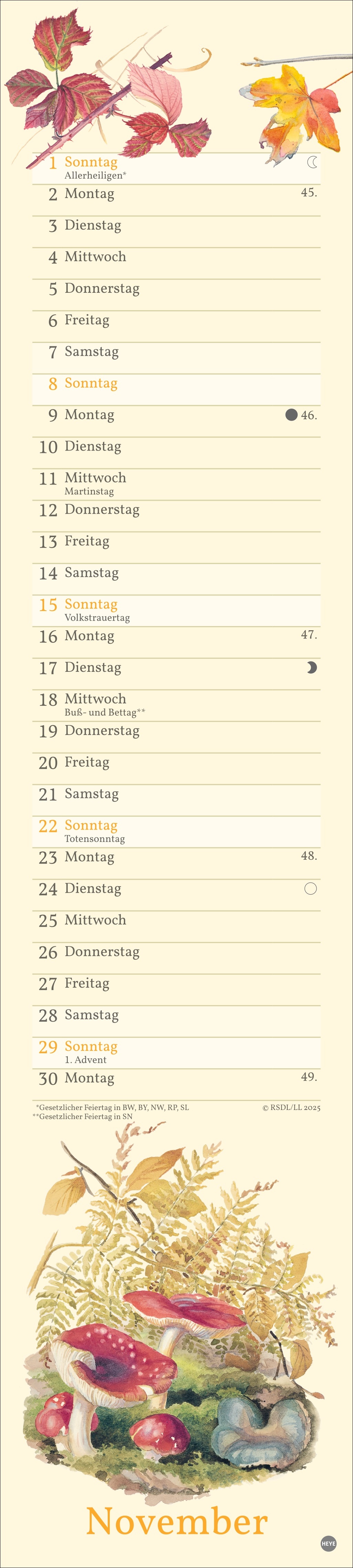 9783756409587_innenansicht_11.jpg