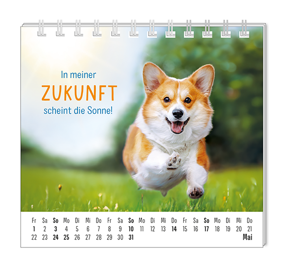 9783986361938_innenansicht_05.png