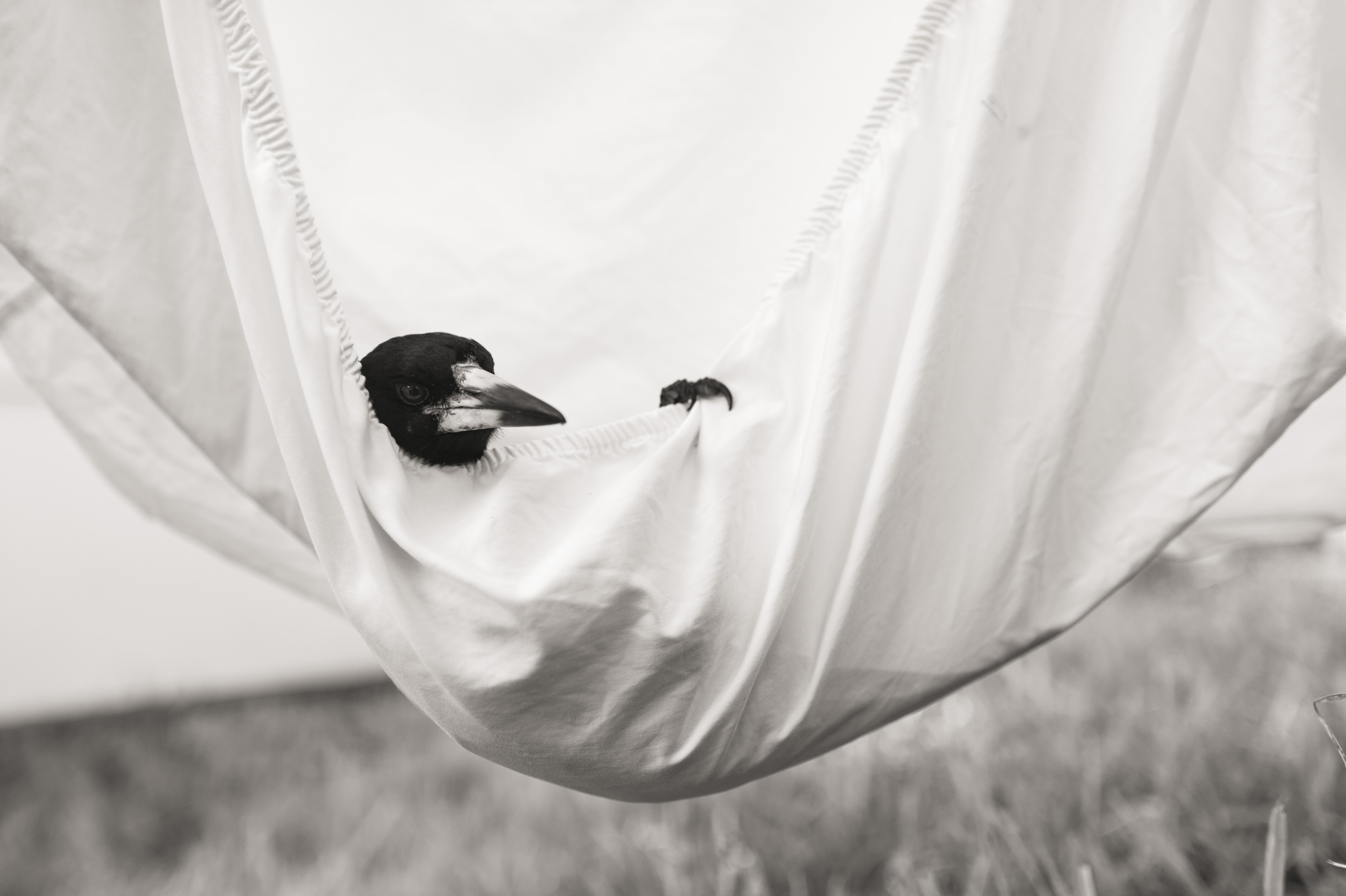 9783328103653_innenansicht_05.jpg 9783328103653_innenansicht_05.jpg