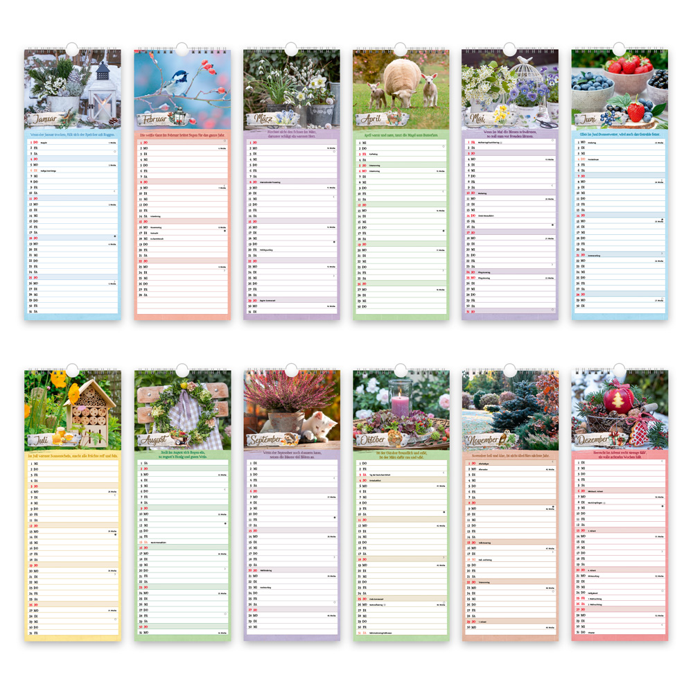 9783988023841_innenansicht_05 9783988023841_innenansicht_05.jpg