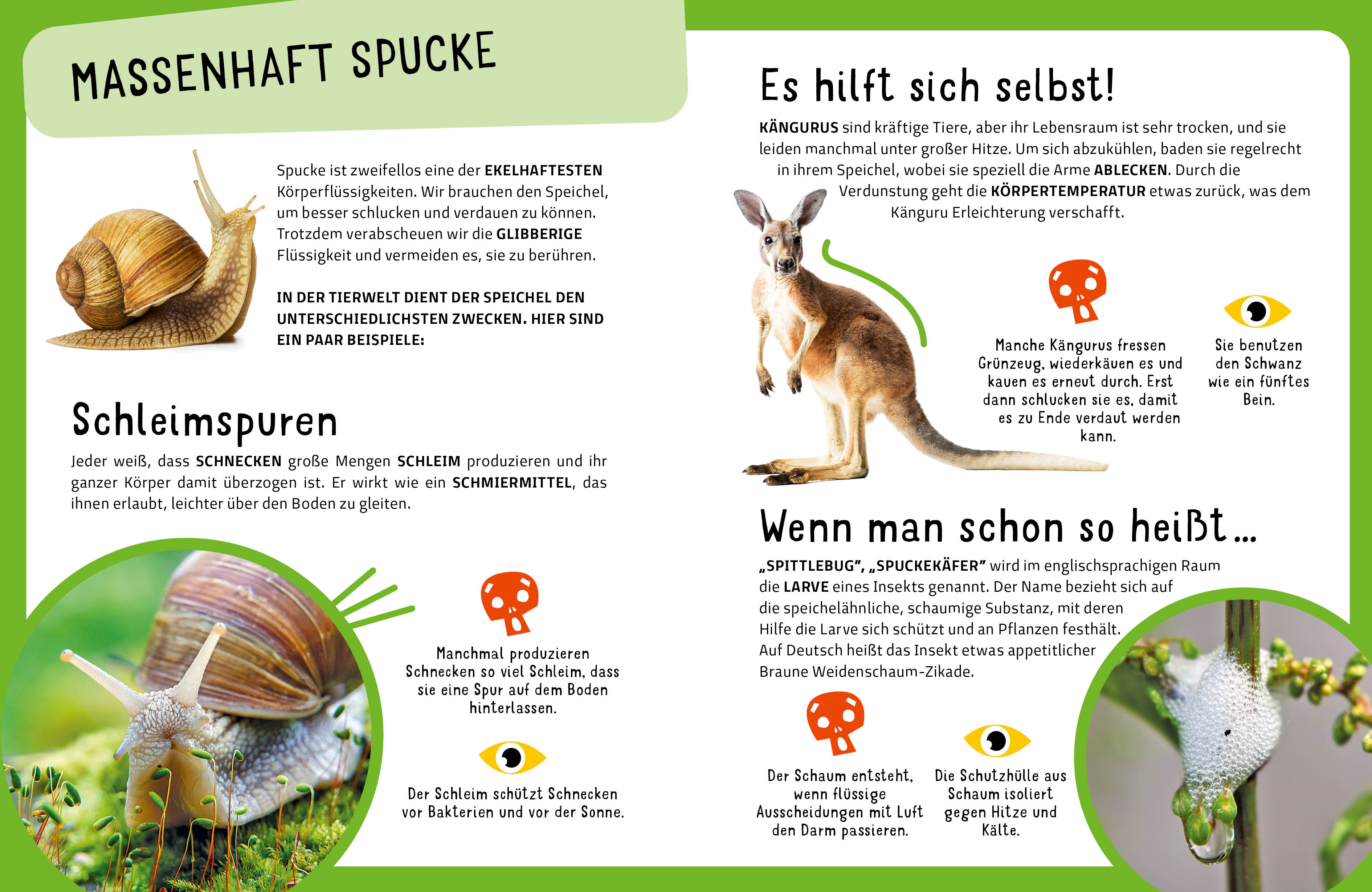 9788863127119_innenansicht_05.jpg
