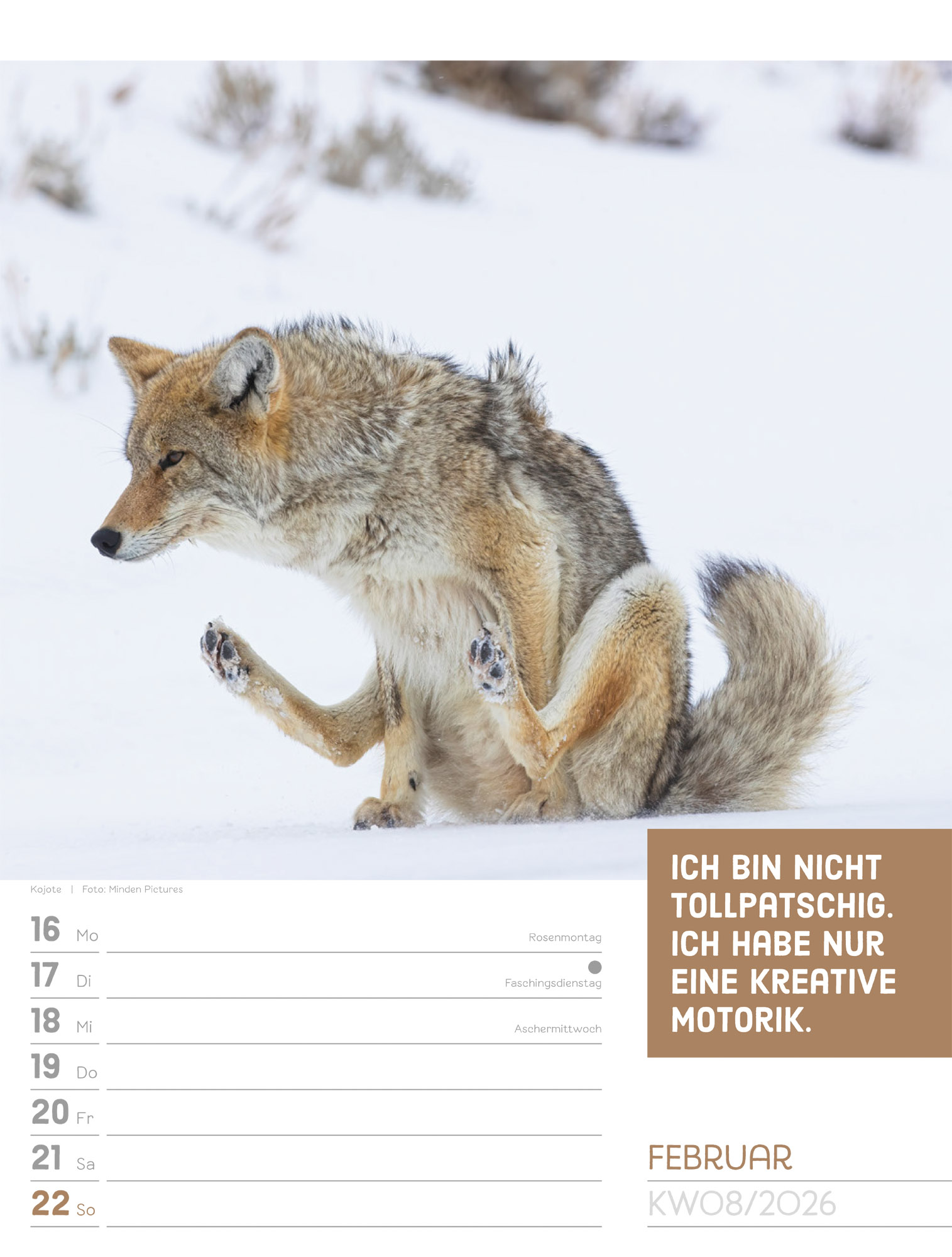 9783838426969_innenansicht_11.jpg
