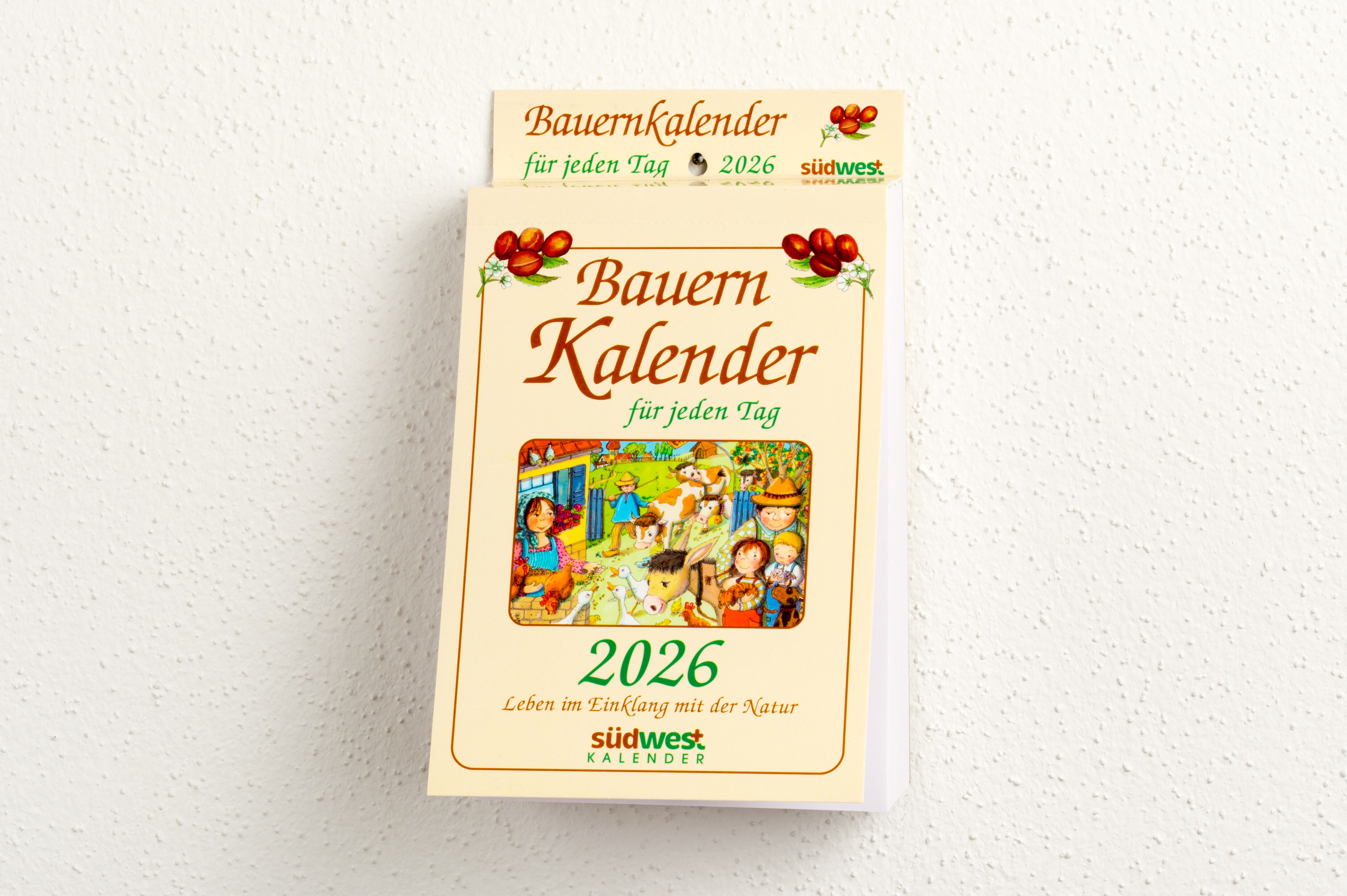 9783517103716_innenansicht_01.jpg