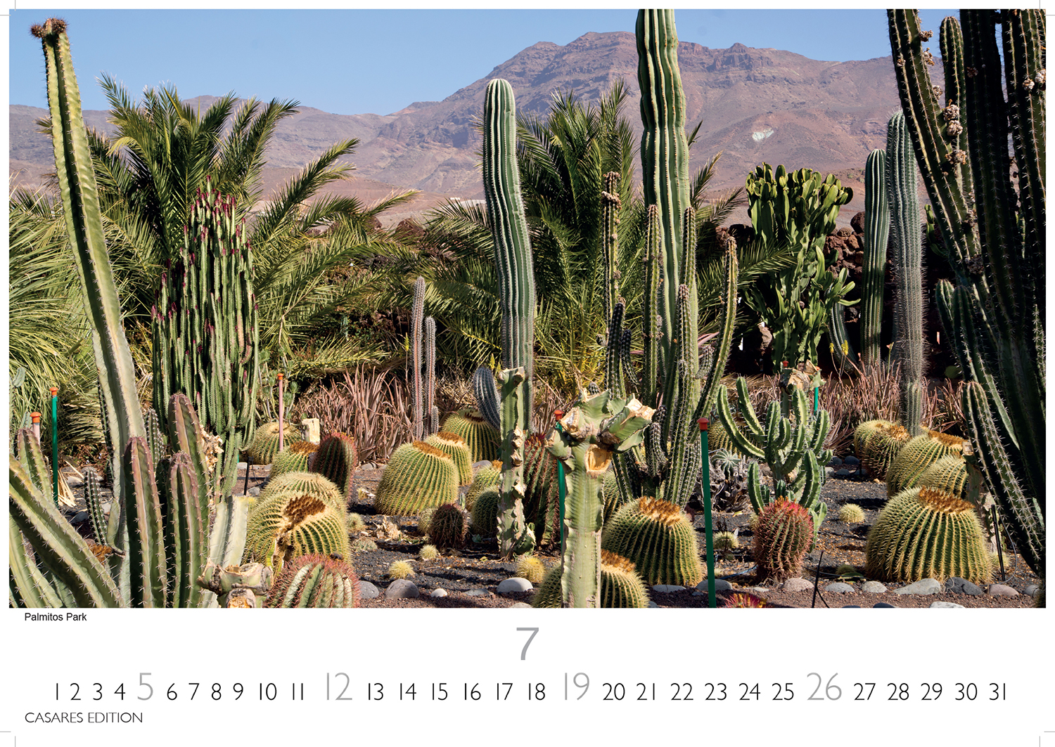 9781835243640_innenansicht_07 9781835243640_innenansicht_07.jpg