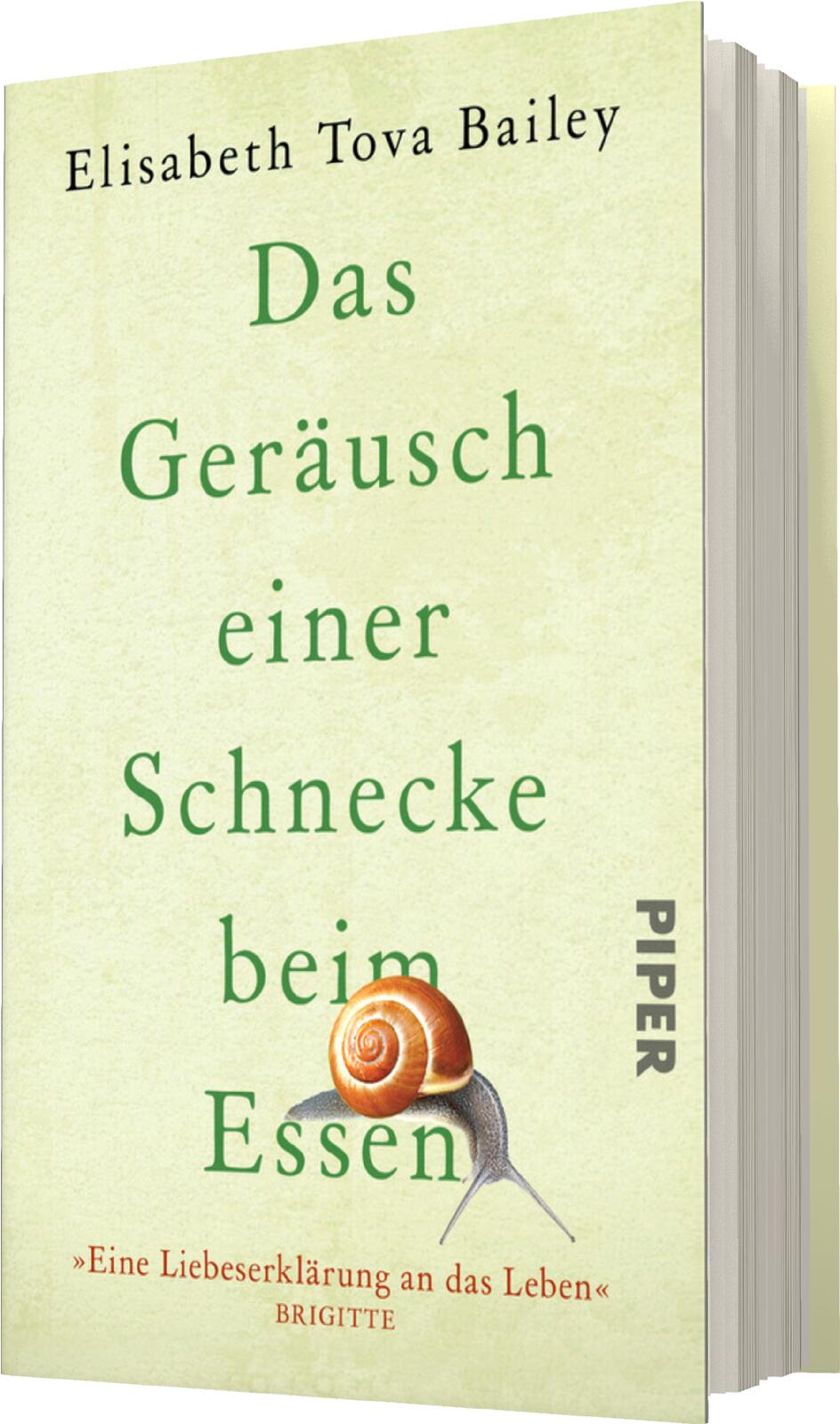 9783492071567_weiterecover_01 9783492071567_weiterecover_01.jpg