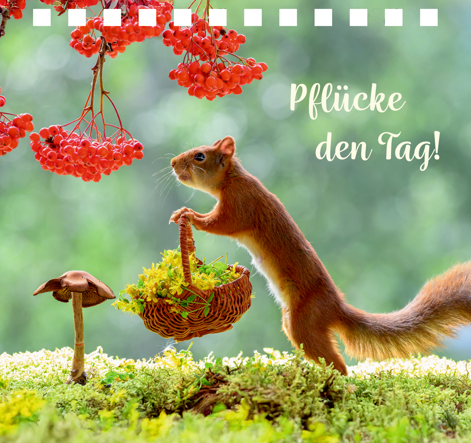 9783649651628_innenansicht_10 9783649651628_innenansicht_10.jpg