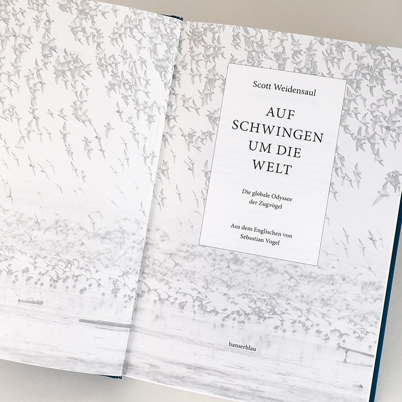 9783446273122_innenansicht_02 9783446273122_innenansicht_02.jpg