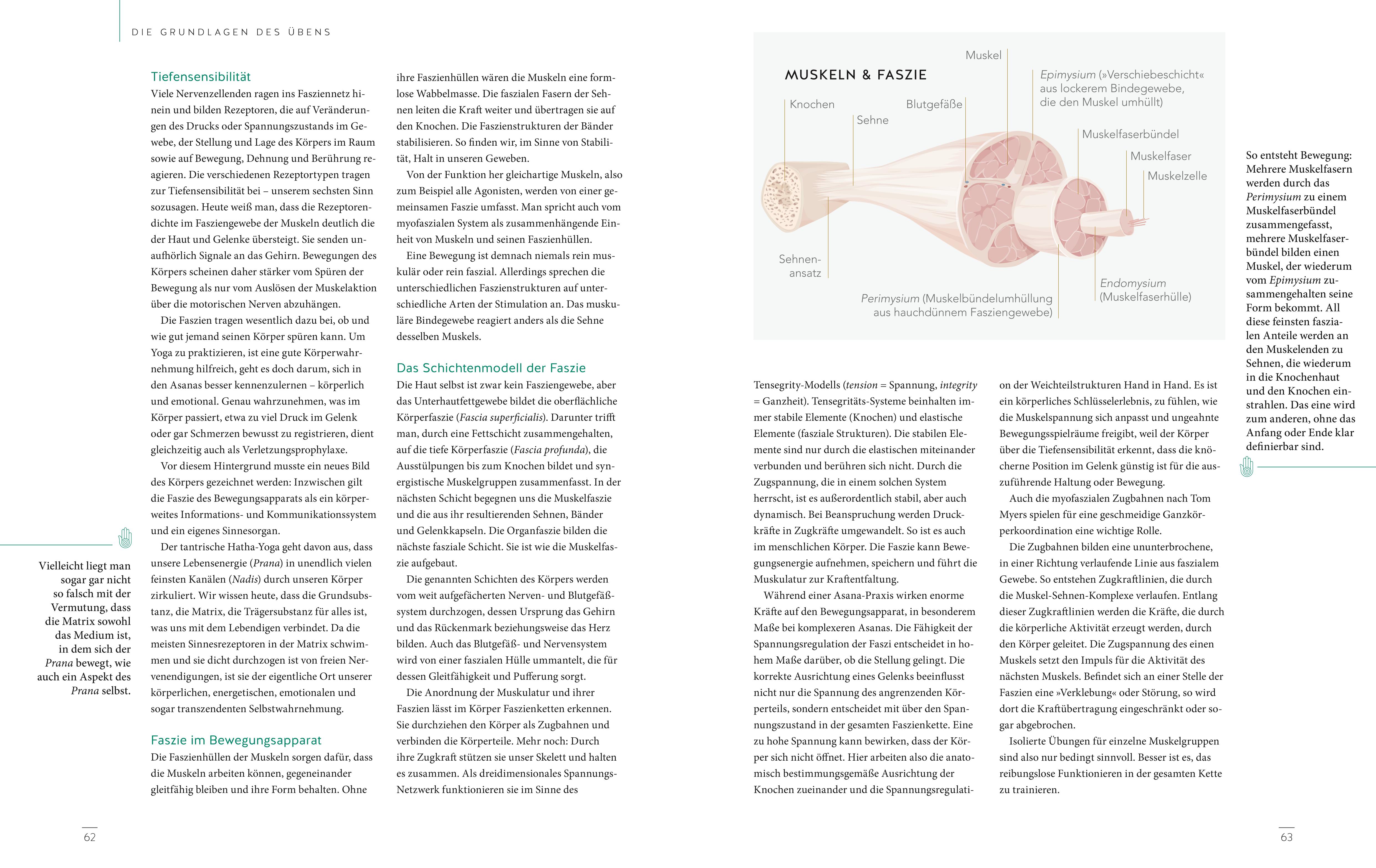 9783833870897_innenansicht_06 9783833870897_innenansicht_06.jpg