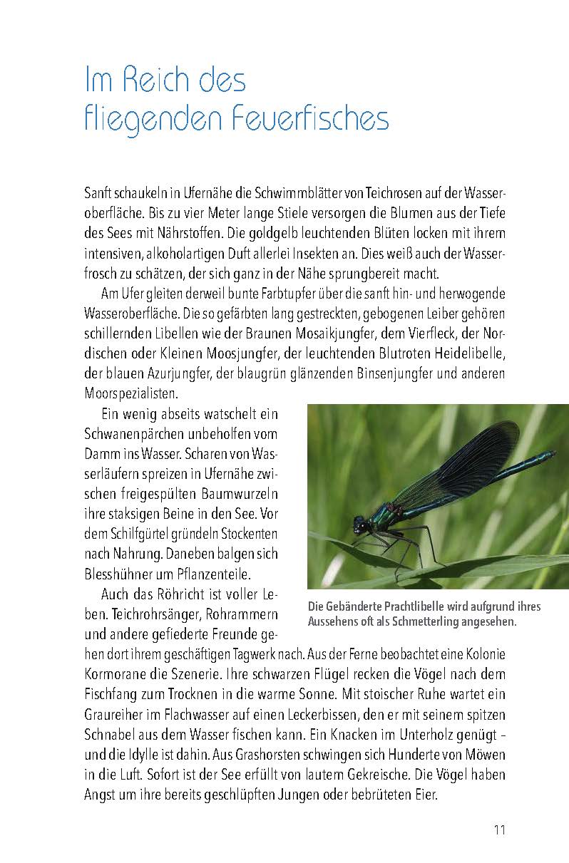 9783955871055_innenansicht_06 9783955871055_innenansicht_06.jpg