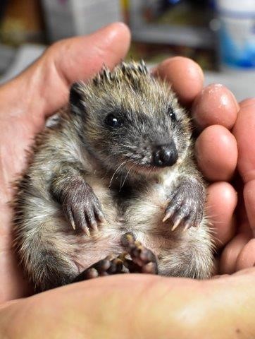 9783328102823_innenansicht_02.jpg 9783328102823_innenansicht_02.jpg