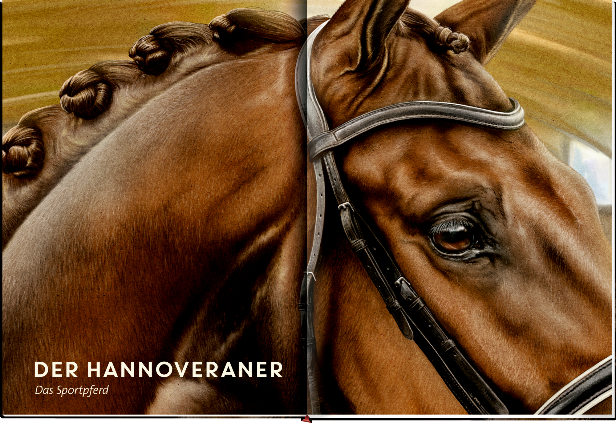 9783649646495_innenansicht_07 9783649646495_innenansicht_07.jpg