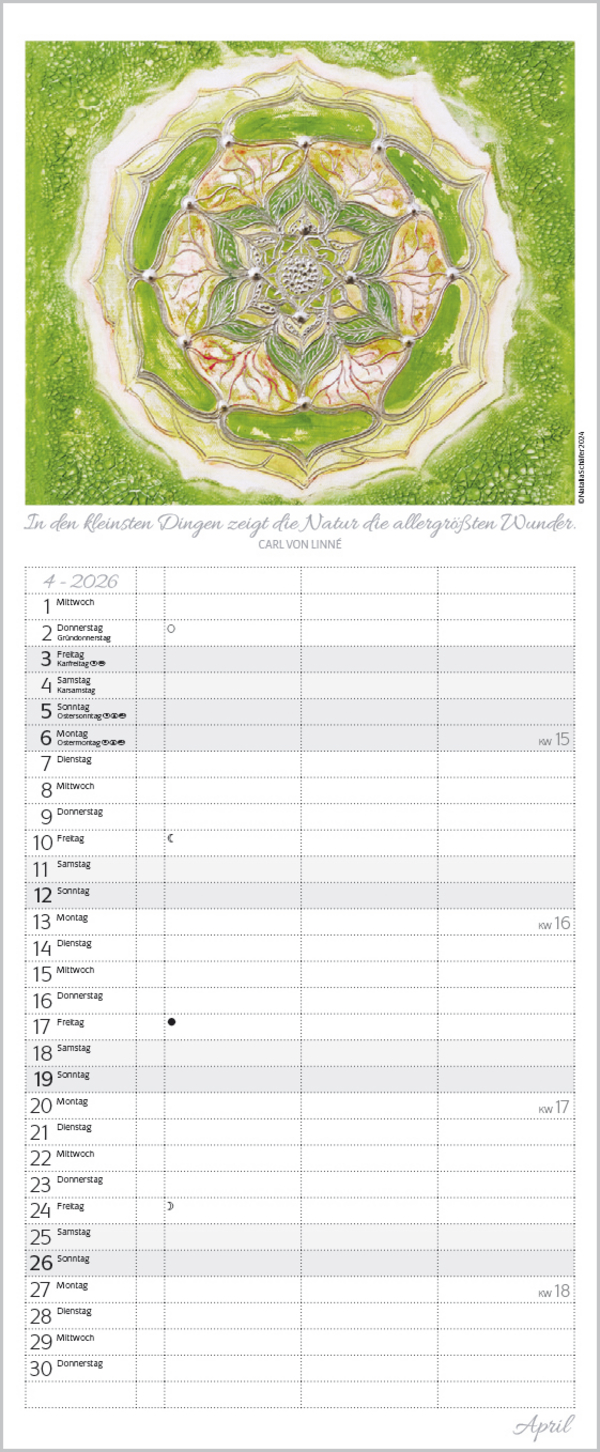 9783731888413_innenansicht_04 9783731888413_innenansicht_04.jpg