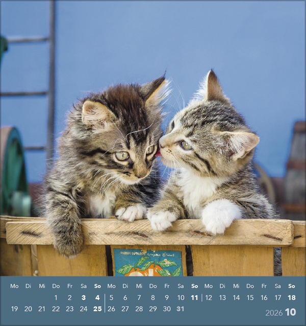 9783731884071_innenansicht_10 9783731884071_innenansicht_10.jpg