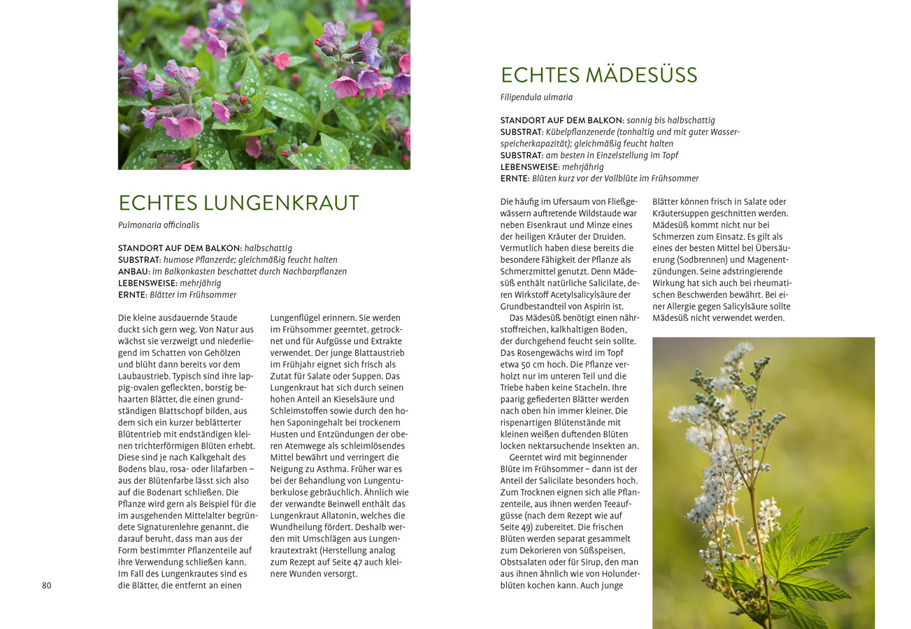 9783818622282_innenansicht_07.jpg