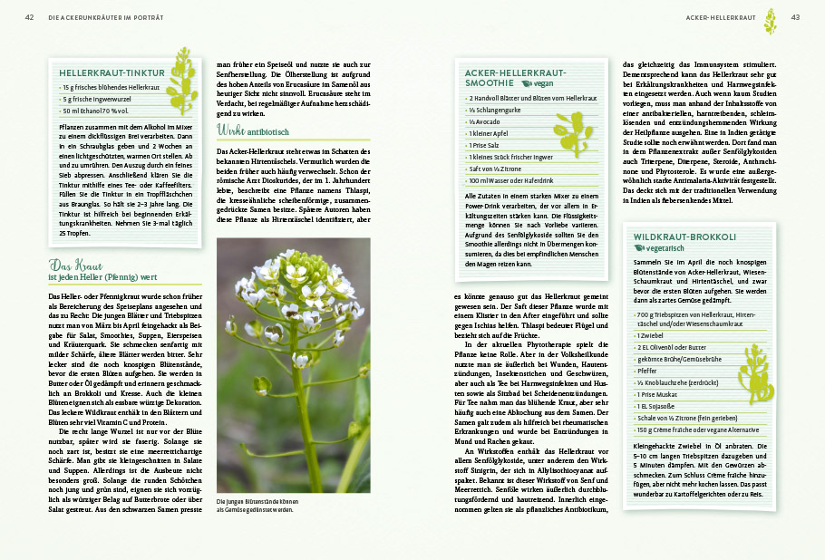 9783818620400_innenansicht_04 9783818620400_innenansicht_04.jpg