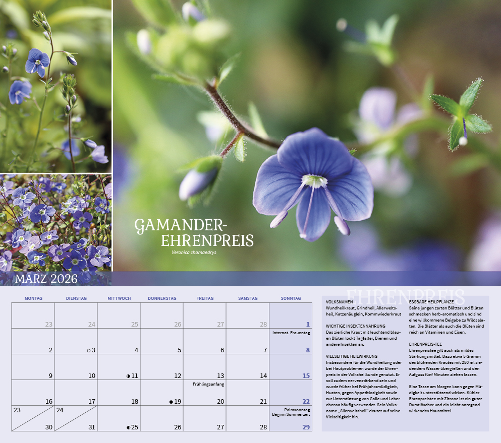 9783861925309_innenansicht_03 9783861925309_innenansicht_03.jpg