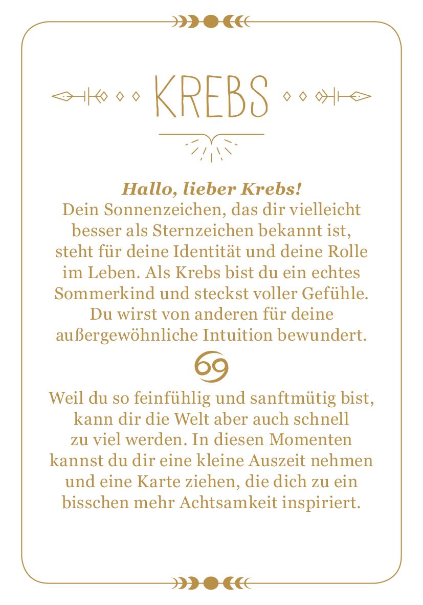 9783845849683_innenansicht_01.jpg