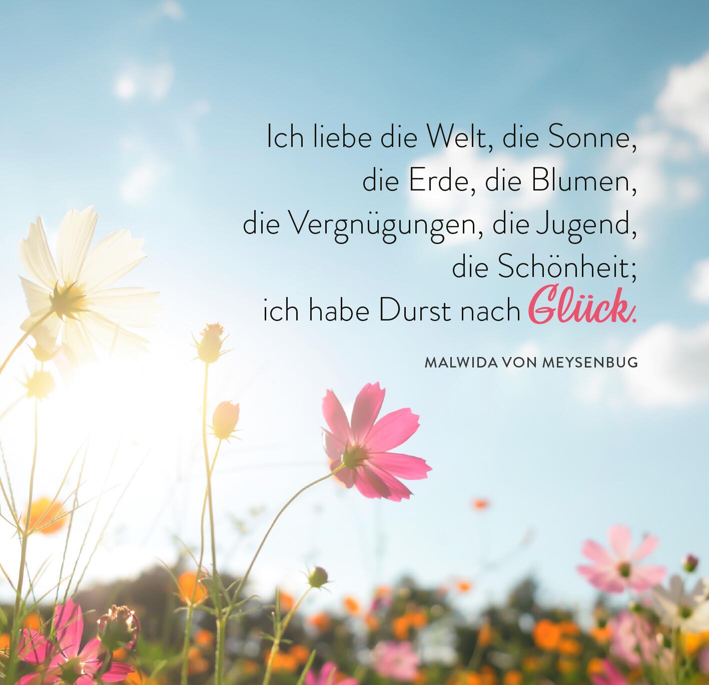 9783845862620_innenansicht_05.jpg
