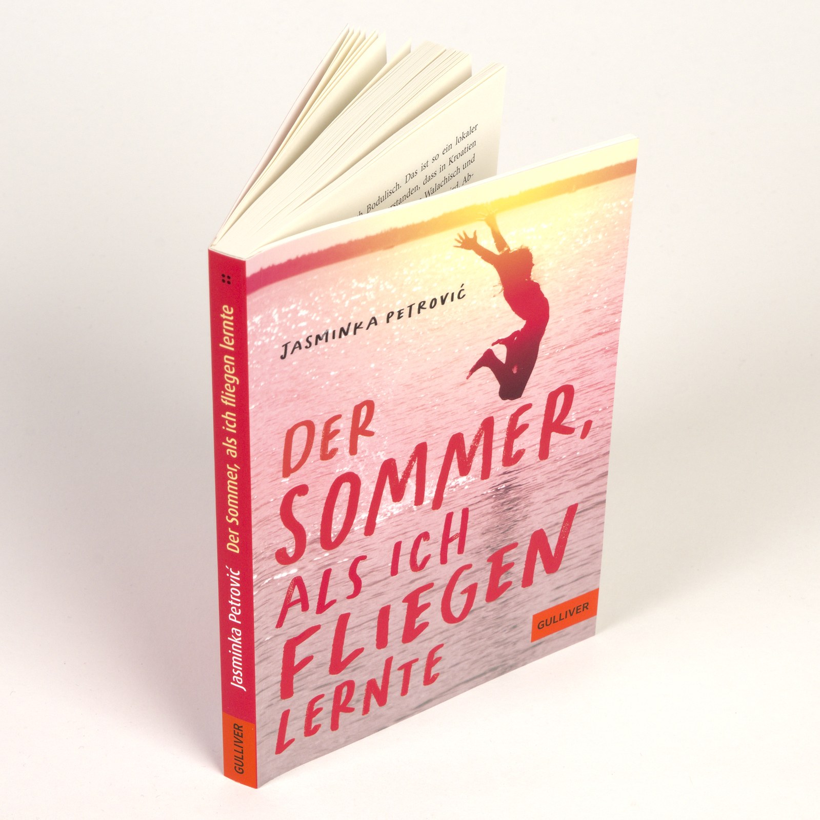 9783407813800_weiterecover_01 9783407813800_weiterecover_01.jpg